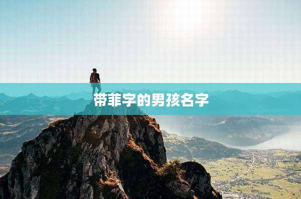 带菲字的男孩名字