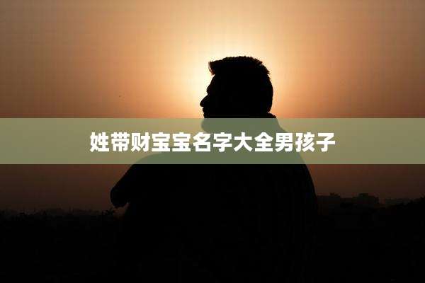 姓带财宝宝名字大全男孩子