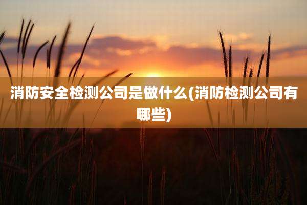 消防安全检测公司是做什么(消防检测公司有哪些)