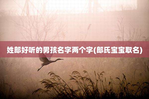 姓郎好听的男孩名字两个字(郎氏宝宝取名)