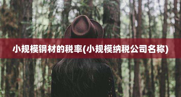 小规模钢材的税率(小规模纳税公司名称)