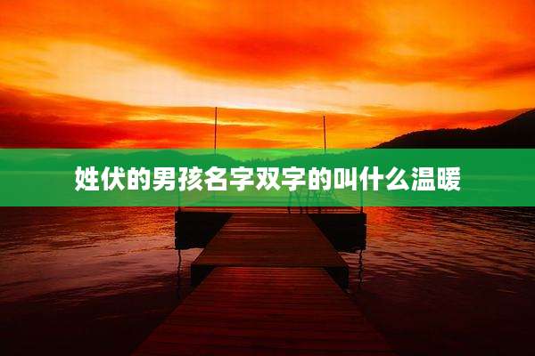 姓伏的男孩名字双字的叫什么温暖