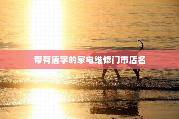 带有唐字的家电维修门市店名