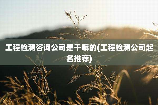 工程检测咨询公司是干嘛的(工程检测公司起名推荐)