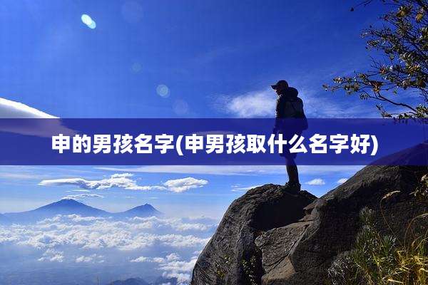 申的男孩名字(申男孩取什么名字好)
