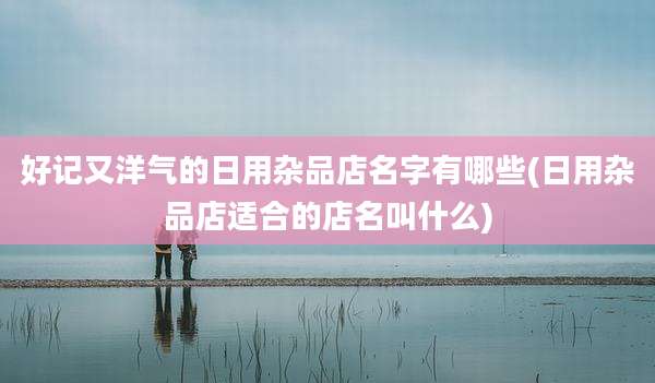 好记又洋气的日用杂品店名字有哪些(日用杂品店适合的店名叫什么)