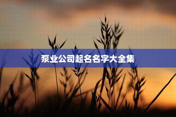 泵业公司起名名字大全集