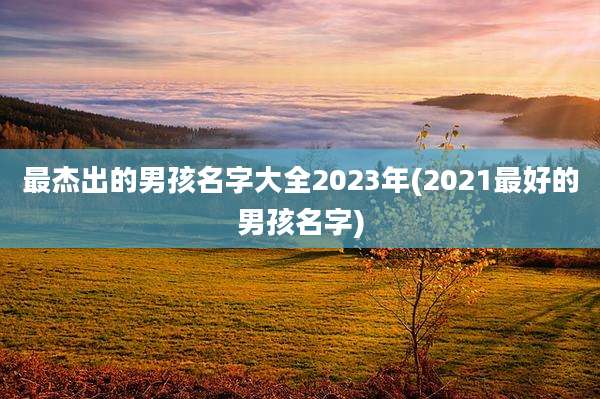 最杰出的男孩名字大全2023年(2021最好的男孩名字)