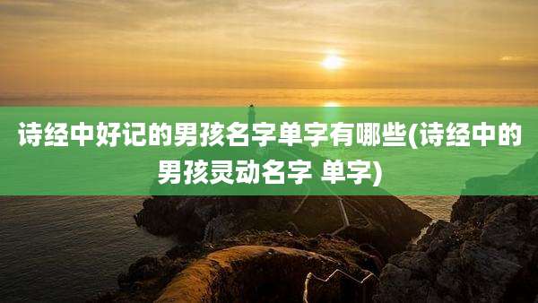 诗经中好记的男孩名字单字有哪些(诗经中的男孩灵动名字 单字)