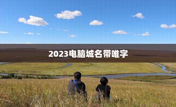 2023电脑城名带唯字