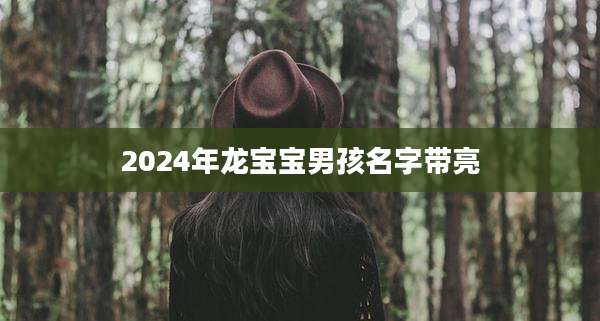 2024年龙宝宝男孩名字带亮
