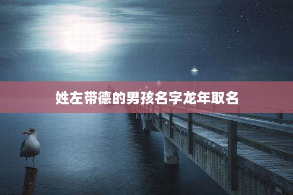 姓左带德的男孩名字龙年取名