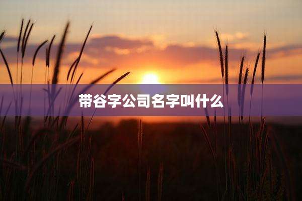 带谷字公司名字叫什么