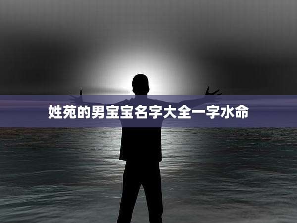 姓苑的男宝宝名字大全一字水命