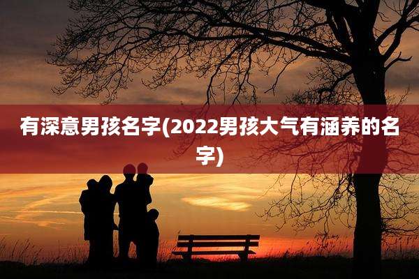 有深意男孩名字(2022男孩大气有涵养的名字)