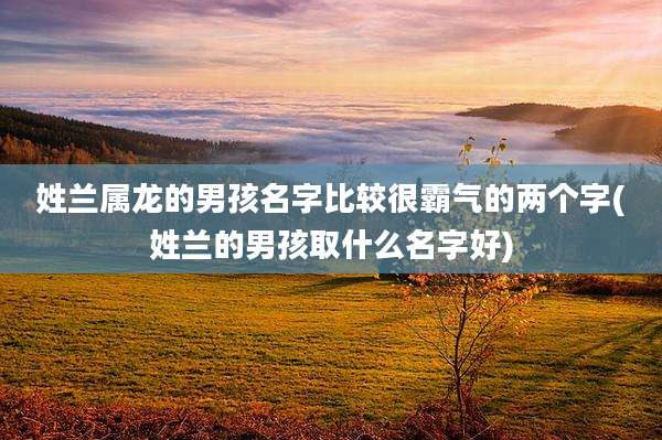 姓兰属龙的男孩名字比较很霸气的两个字(姓兰的男孩取什么名字好)