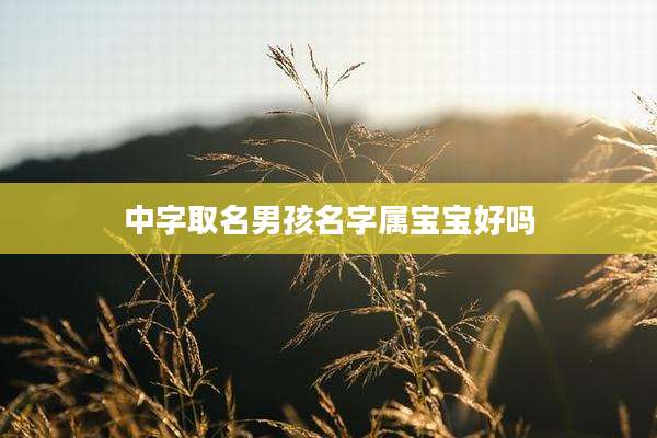 中字取名男孩名字属宝宝好吗