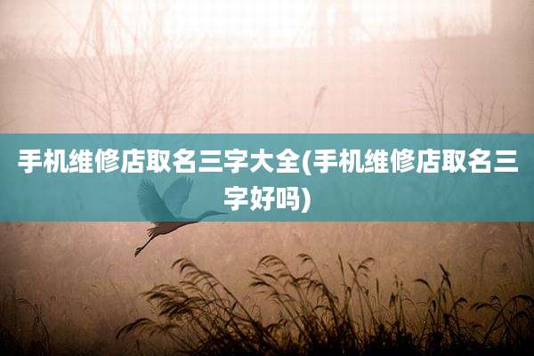 手机维修店取名三字大全(手机维修店取名三字好吗)
