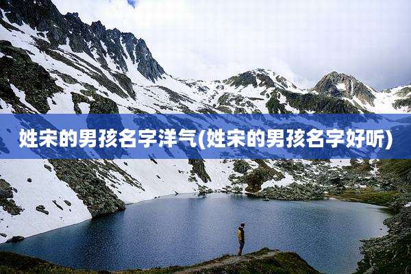 姓宋的男孩名字洋气(姓宋的男孩名字好听)
