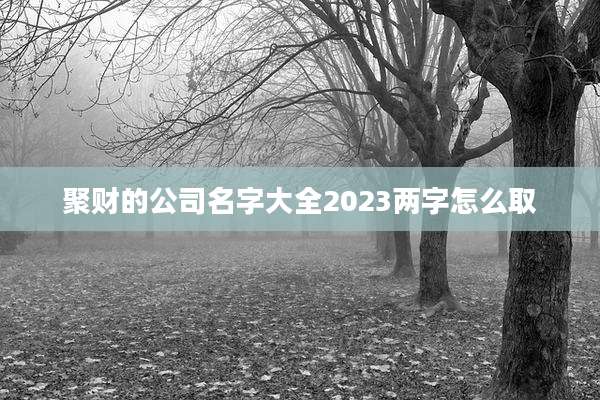 聚财的公司名字大全2023两字怎么取