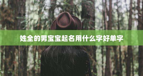 姓全的男宝宝起名用什么字好单字