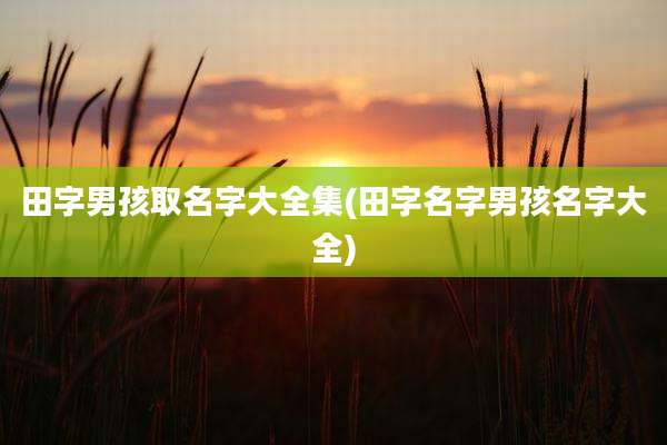 田字男孩取名字大全集(田字名字男孩名字大全)