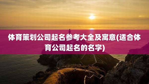 体育策划公司起名参考大全及寓意(适合体育公司起名的名字)