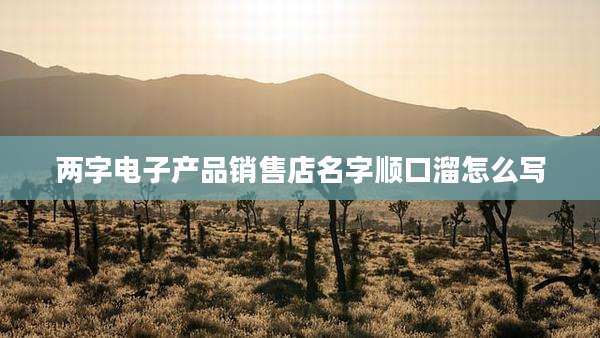 两字电子产品销售店名字顺口溜怎么写