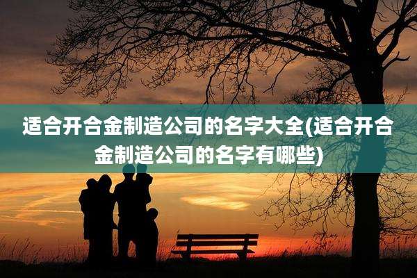 适合开合金制造公司的名字大全(适合开合金制造公司的名字有哪些)