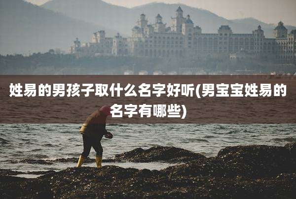 姓易的男孩子取什么名字好听(男宝宝姓易的名字有哪些)