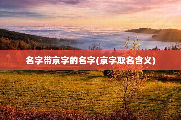 名字带京字的名字(京字取名含义)