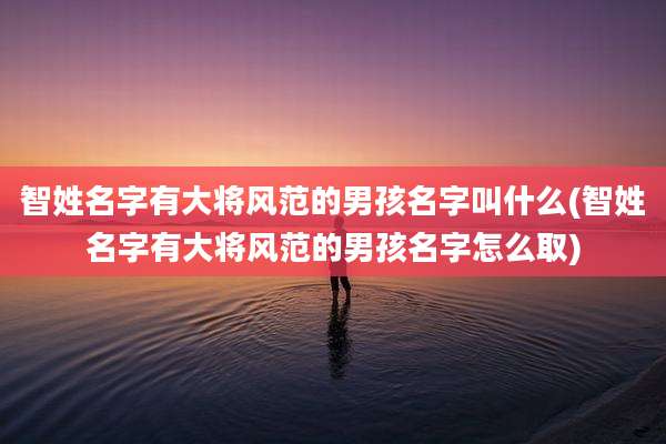 智姓名字有大将风范的男孩名字叫什么(智姓名字有大将风范的男孩名字怎么取)