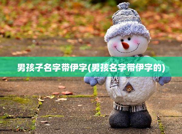 男孩子名字带伊字(男孩名字带伊字的)