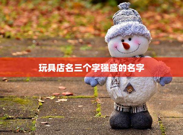 玩具店名三个字强盛的名字