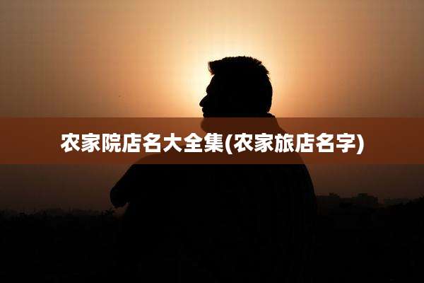 农家院店名大全集(农家旅店名字)