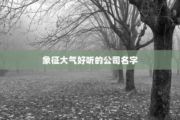象征大气好听的公司名字