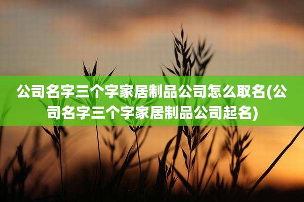 公司名字三个字家居制品公司怎么取名(公司名字三个字家居制品公司起名)