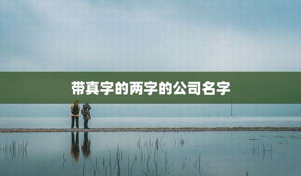 带真字的两字的公司名字