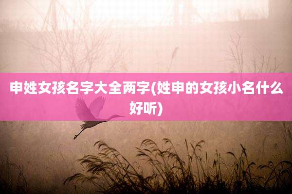 申姓女孩名字大全两字(姓申的女孩小名什么好听)