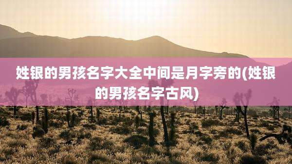 姓银的男孩名字大全中间是月字旁的(姓银的男孩名字古风)
