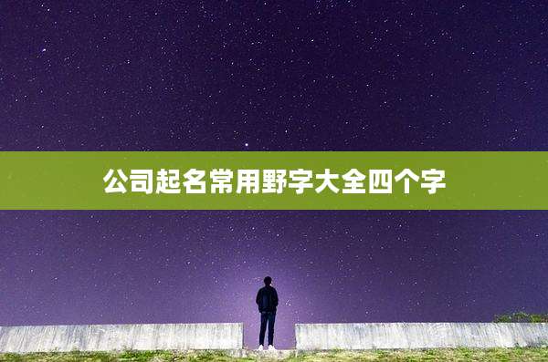 公司起名常用野字大全四个字