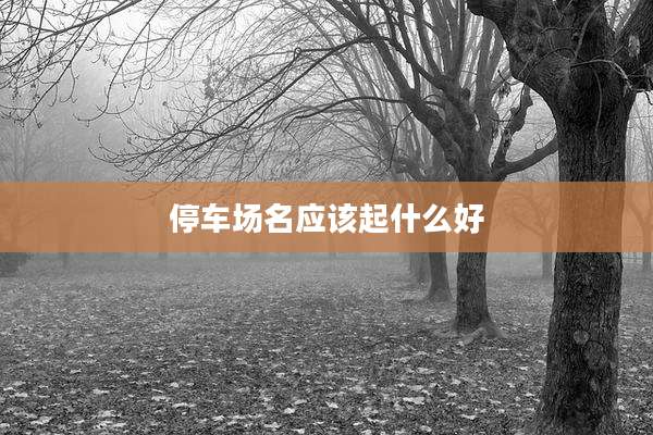 停车场名应该起什么好
