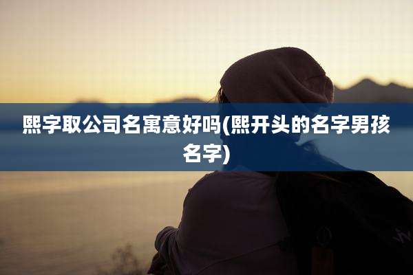 熙字取公司名寓意好吗(熙开头的名字男孩名字)