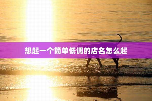 想起一个简单低调的店名怎么起
