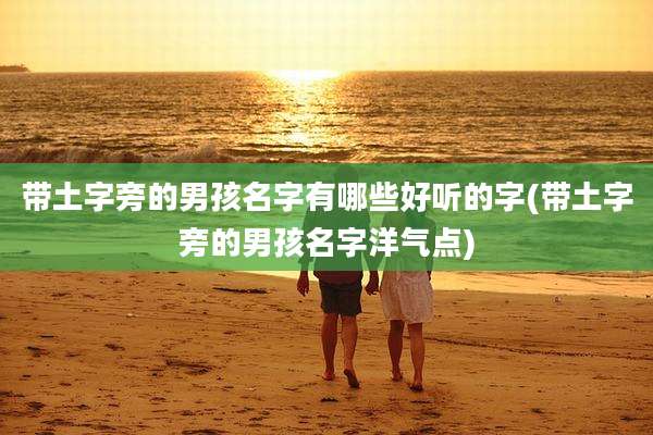 带土字旁的男孩名字有哪些好听的字(带土字旁的男孩名字洋气点)