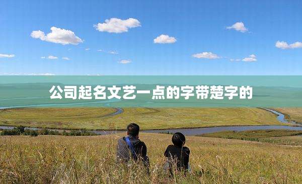 公司起名文艺一点的字带楚字的