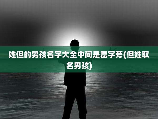 姓但的男孩名字大全中间是磊字旁(但姓取名男孩)