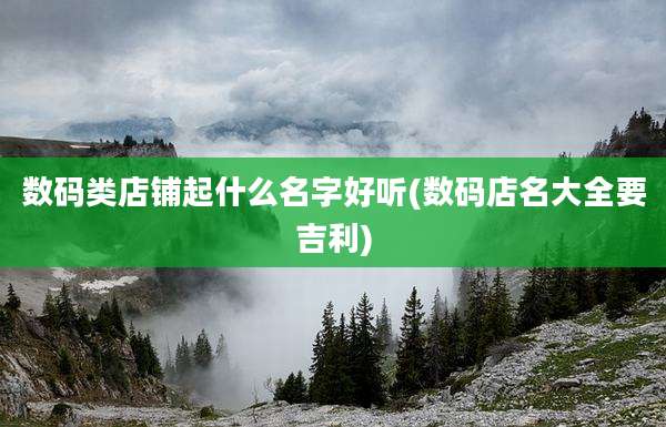 数码类店铺起什么名字好听(数码店名大全要吉利)