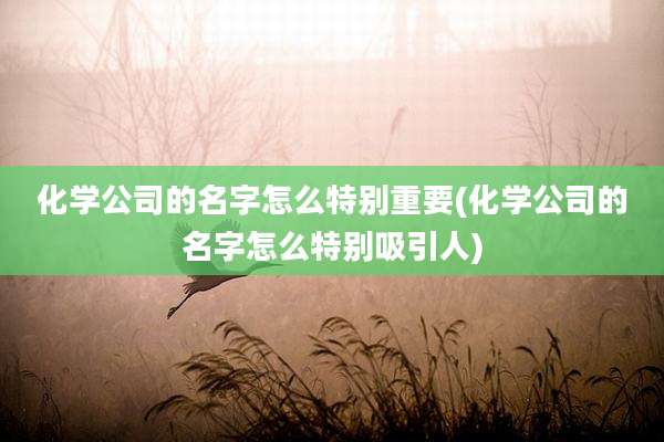 化学公司的名字怎么特别重要(化学公司的名字怎么特别吸引人)