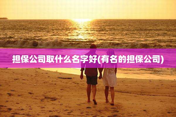 担保公司取什么名字好(有名的担保公司)